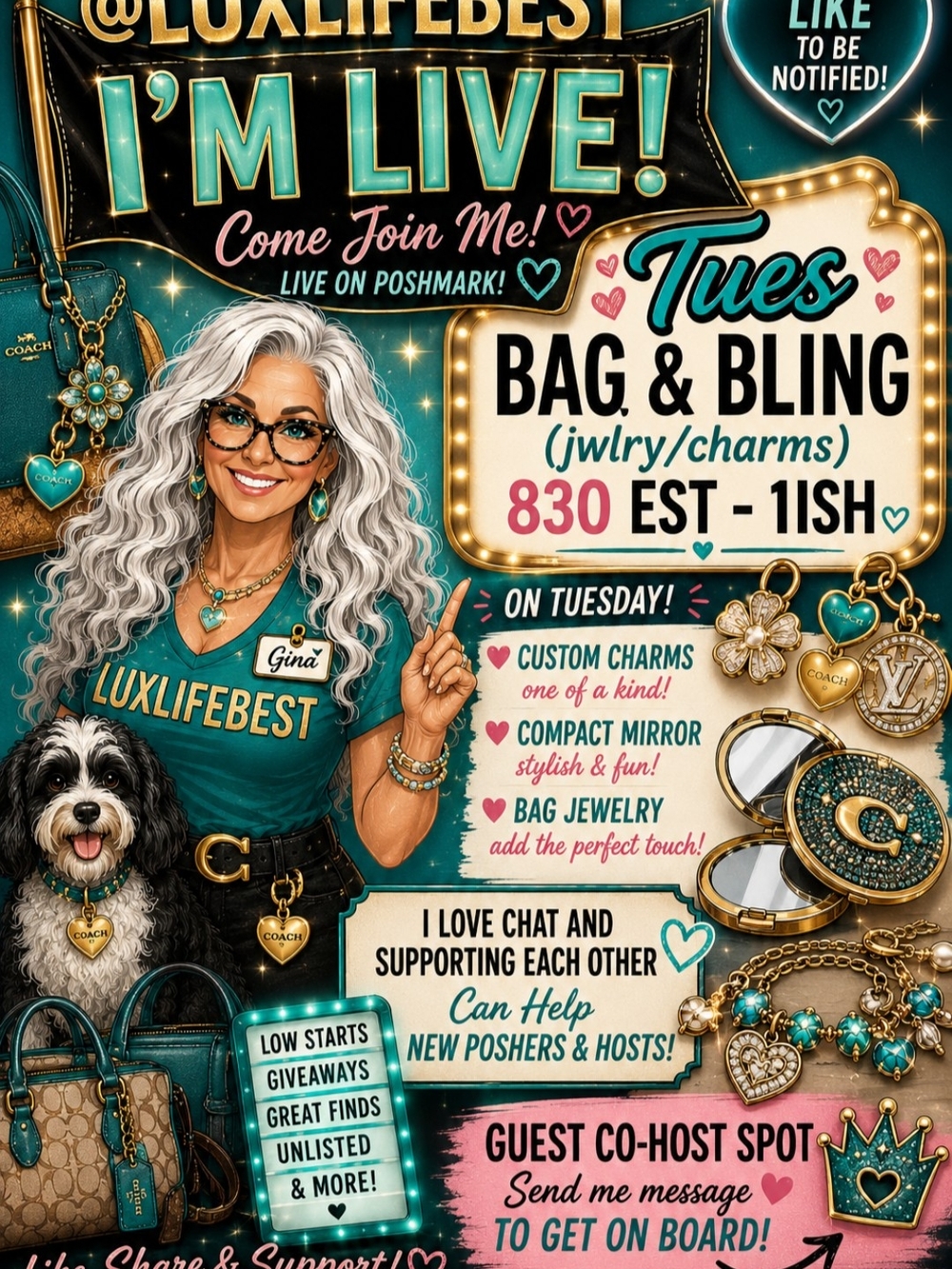 Live Flyer Show bundle Info - Picture 7 of 11